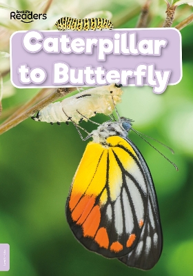 Cover of Caterpillar to Butterfly