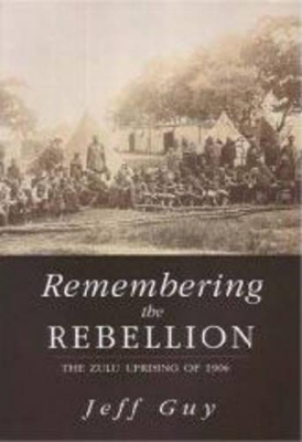 Book cover for Remembering the Rebellion