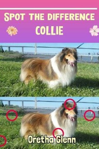 Cover of Spot the difference Collie