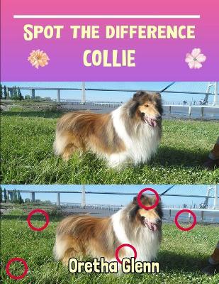 Book cover for Spot the difference Collie