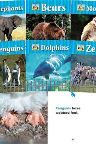 Cover of Zoo Animals