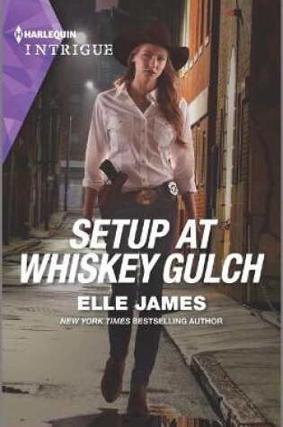 Cover of Setup at Whiskey Gulch