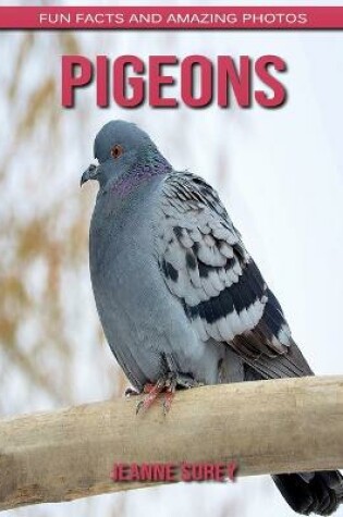 Cover of Pigeons