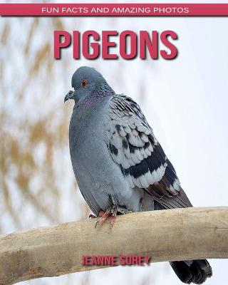 Book cover for Pigeons