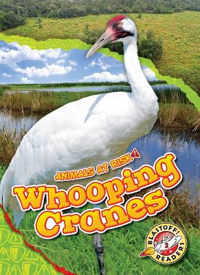 Book cover for Whooping Cranes