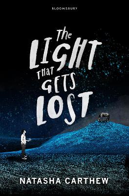 Book cover for The Light That Gets Lost