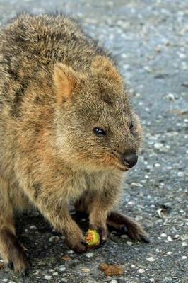 Book cover for Cute Little Quokka Standing on the Street Journal