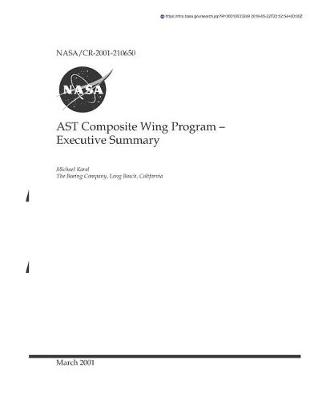 Book cover for Ast Composite Wing Program