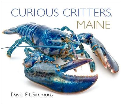 Book cover for Curious Critters Maine
