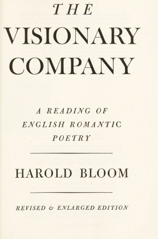 Cover of Visionary Company