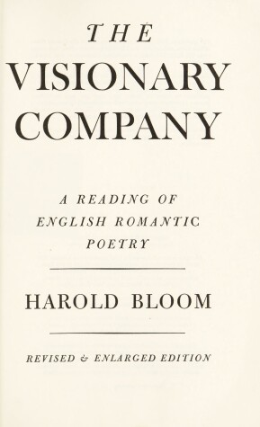 Book cover for Visionary Company