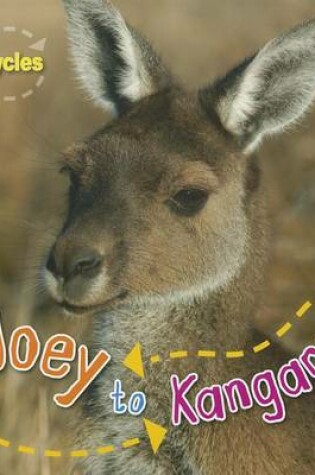 Cover of Joey to Kangaroo