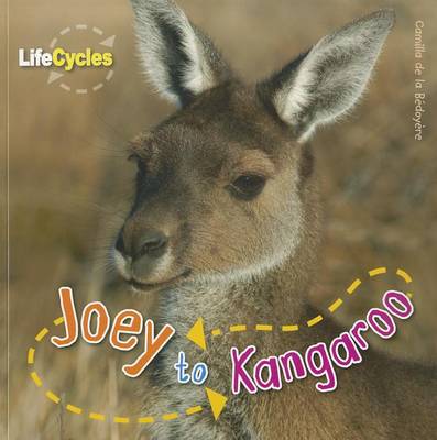 Book cover for Joey to Kangaroo