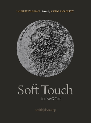 Book cover for Soft Touch