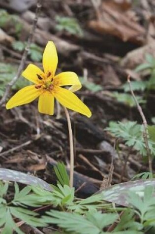 Cover of Wild Erythronium Americanum Yellow Trout Lily Journal