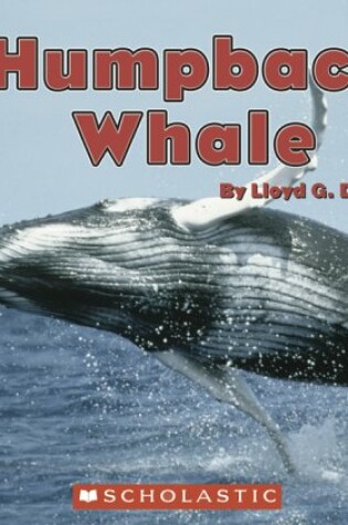 Cover of Humpback Whale