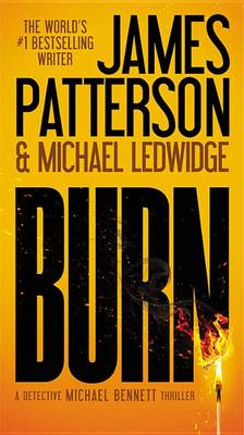 Book cover for Burn -- Free Preview -- The First 7 Chapters