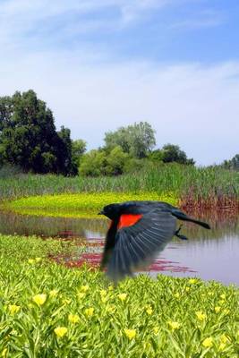 Book cover for Red Wing Blackbird in Flight Journal