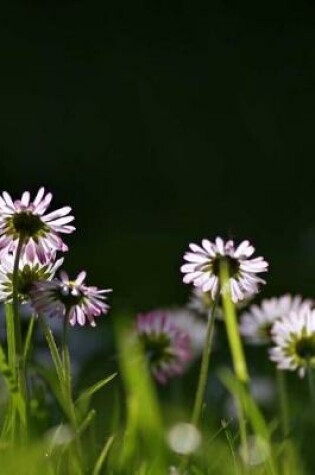 Cover of Daisies Notebook