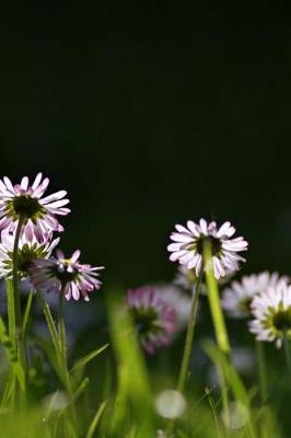 Book cover for Daisies Notebook