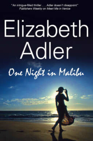 Cover of One Night in Malibu