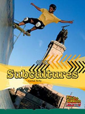 Book cover for Subcultures