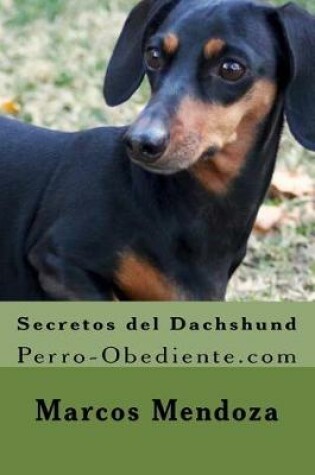 Cover of Secretos del Dachshund