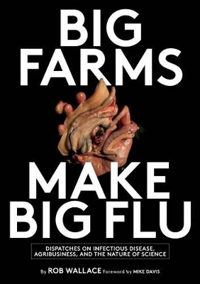 Book cover for Big Farms Make Big Flu