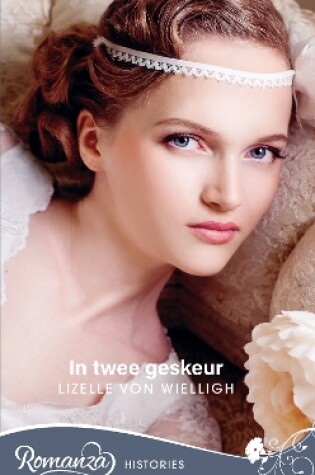 Cover of In twee geskeur