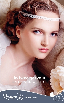 Book cover for In twee geskeur