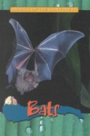 Cover of Bats