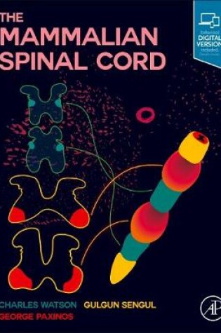 Cover of The Mammalian Spinal Cord