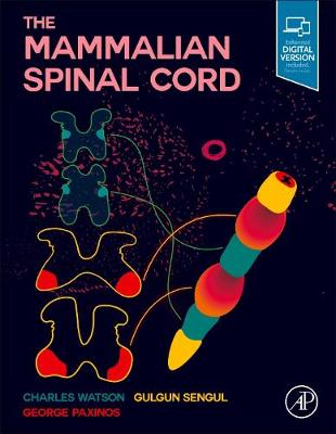 Book cover for The Mammalian Spinal Cord