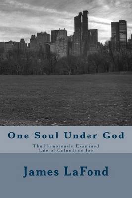 Book cover for One Soul Under God