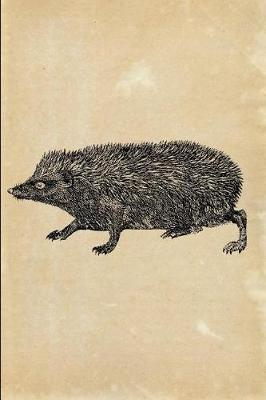 Book cover for Hedgehog (Erinaceus europaeus)