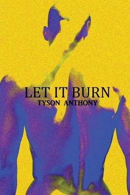 Book cover for Let It Burn