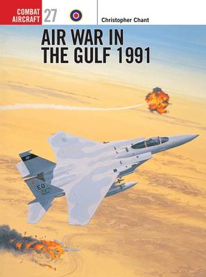 Book cover for Air War in the Gulf 1991