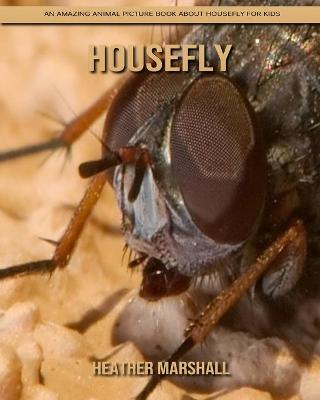 Book cover for Housefly