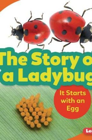 Cover of The Story of a Ladybug