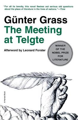 Book cover for Meeting at Telgte