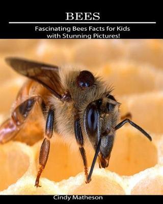 Book cover for Bees