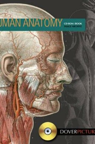 Cover of Human Anatomy