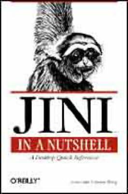 Book cover for Jini in a Nutshell