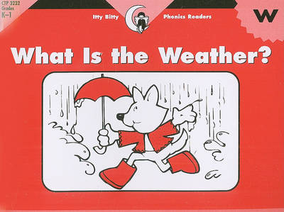 Book cover for What Is the Weather?