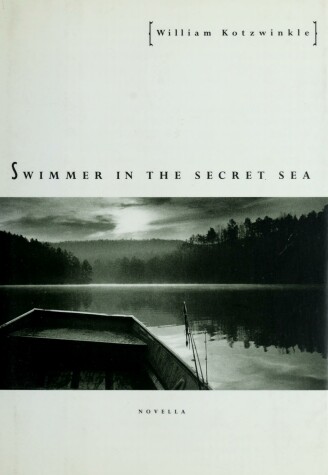 Book cover for Swimmer in the Secret Sea