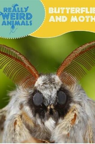 Cover of Really Weird Animals: Butterflies and Moths