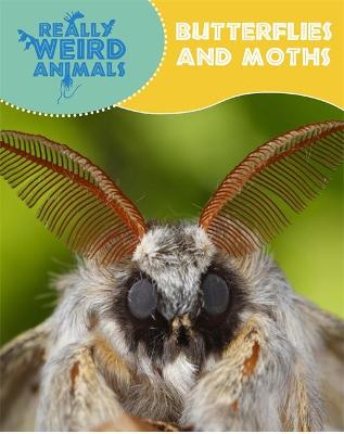 Book cover for Really Weird Animals: Butterflies and Moths