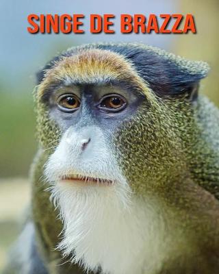 Book cover for Singe de Brazza