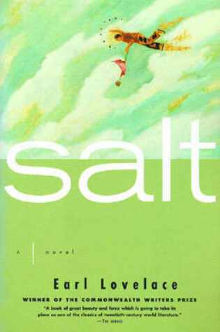 Cover of Salt