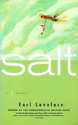 Book cover for Salt